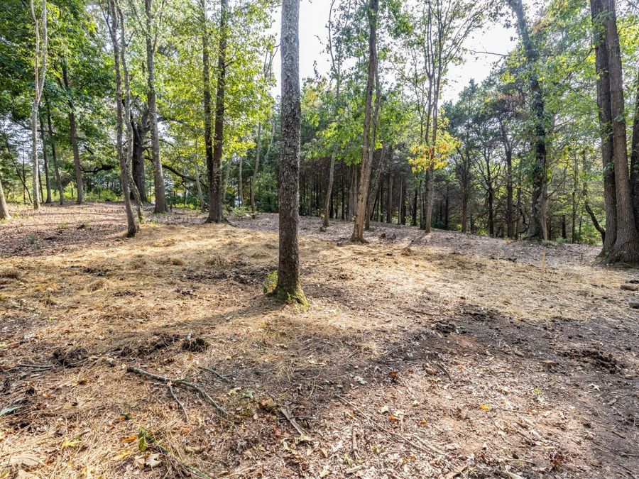 Property Image 63