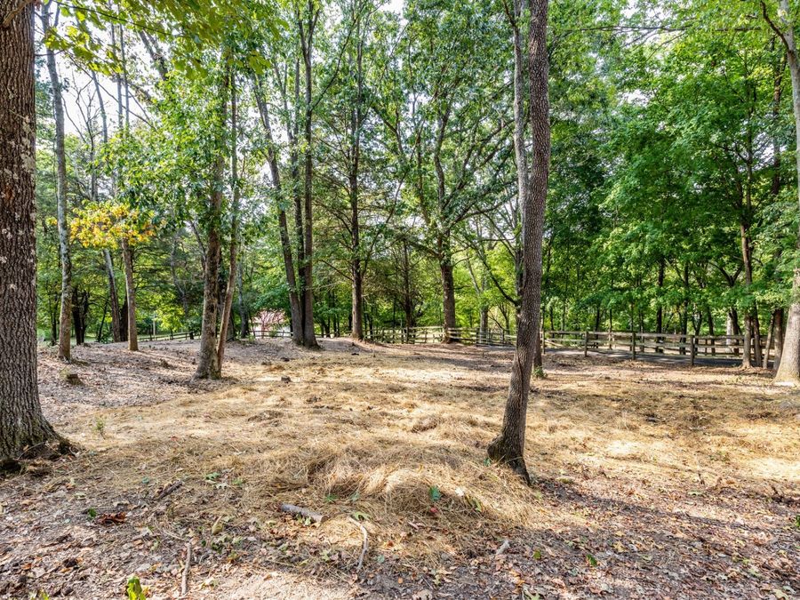 Property Image 65