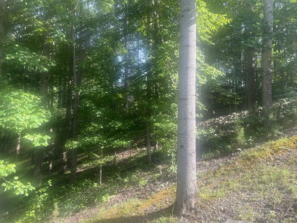 269 Salem Rd , McMinnville, TN 37110