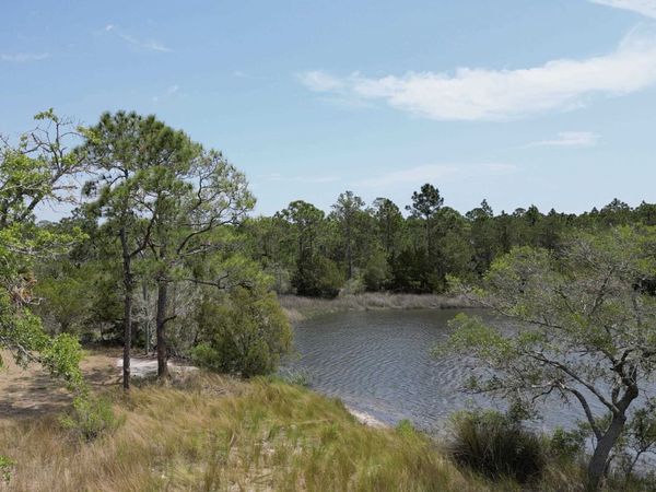 337 Levy Bay , Panacea, FL 32346