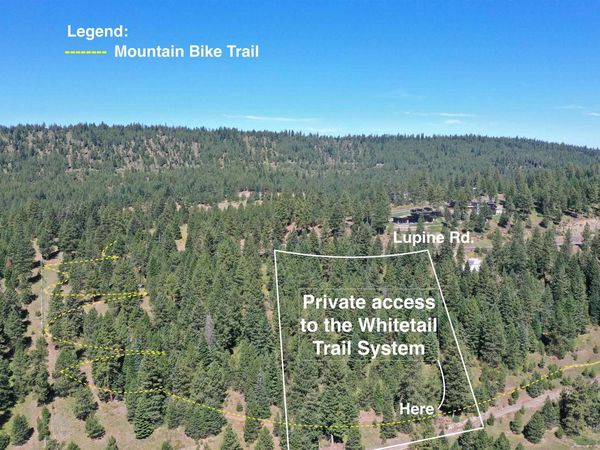 5541 Lupine Lane, McCall, ID 83638