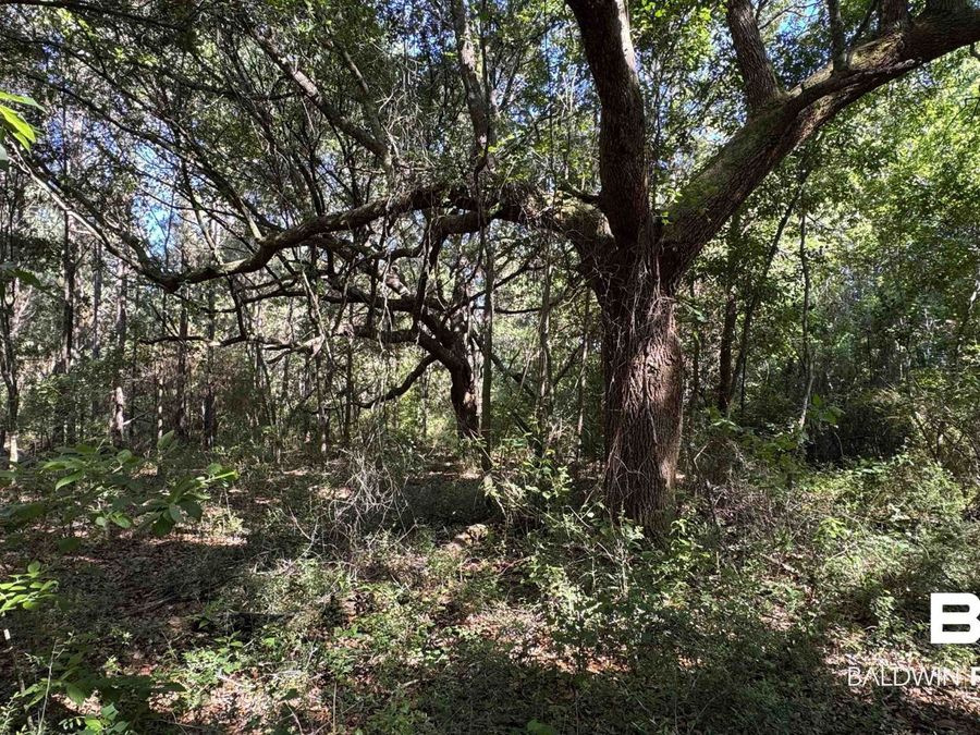 Property Image 53