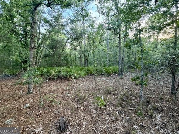 1208 Hillside, Claxton, GA 31401