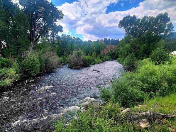 31098 Hwy 160, South Fork, CO 81154