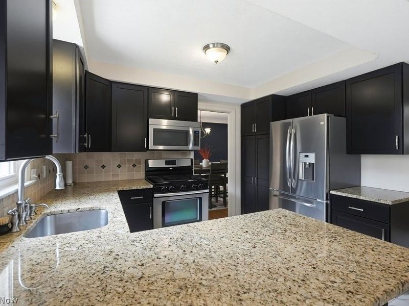 3890 Bethany Road, Cleveland, OH 44118 Photo 2