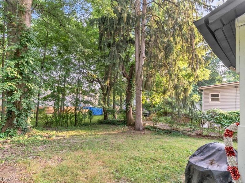 386 E Voris Street, Akron, OH 44311 Photo 6