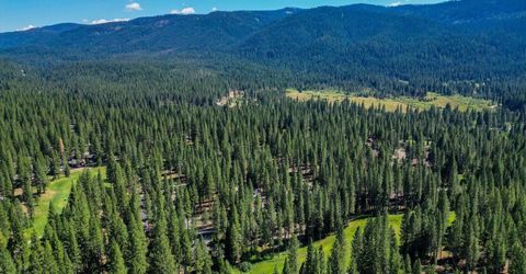 243 Black Bear Trail, Clio, CA 96106 Photo