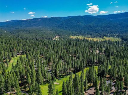 243 Black Bear Trail, Clio, CA 96106 Photo