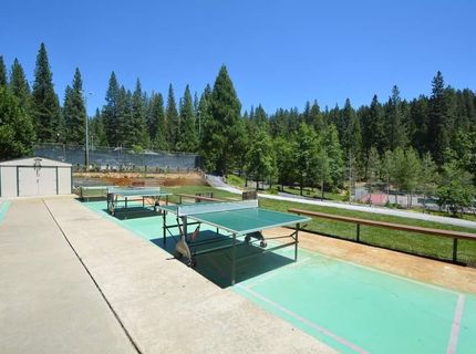 1478 Gertrude Way, Arnold, CA 95223 Photo