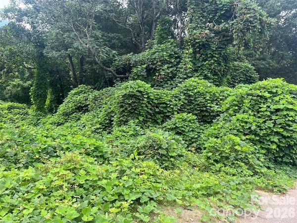 0 Wisconsin Street, Spindale, NC 28160