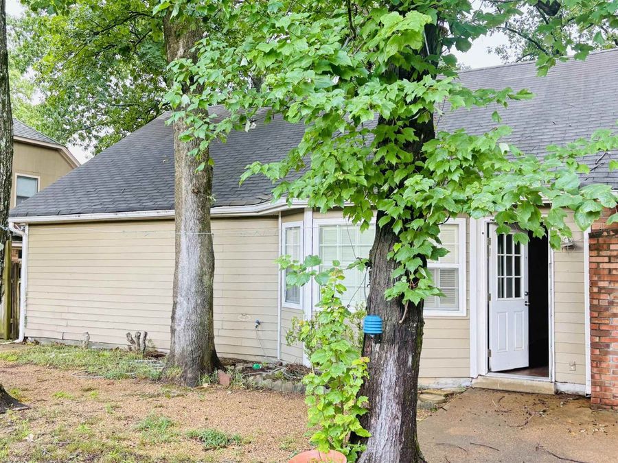 Property Image 15