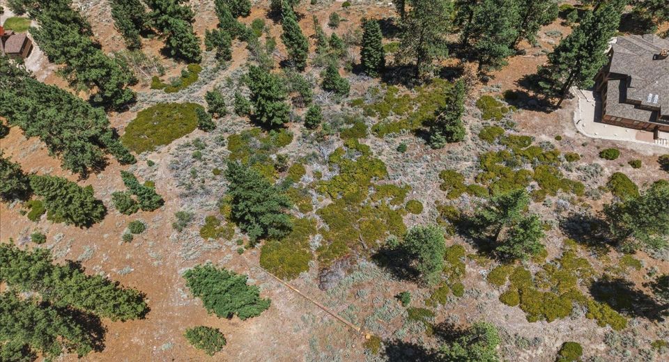 490 Nature's Edge Road, Gardnerville, NV 89460 Photo