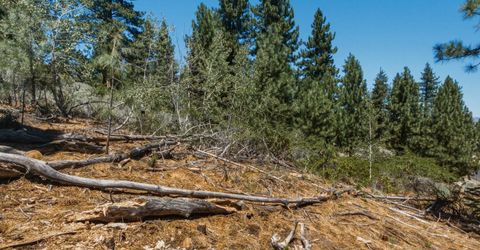 490 Nature's Edge Road, Gardnerville, NV 89460 Photo