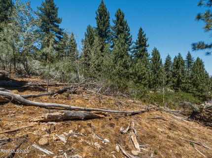 490 Nature's Edge Road, Gardnerville, NV 89460 Photo