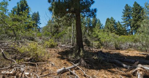490 Nature's Edge Road, Gardnerville, NV 89460 Photo