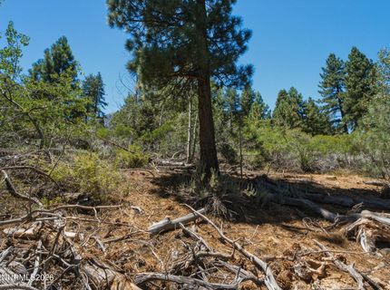 490 Nature's Edge Road, Gardnerville, NV 89460 Photo