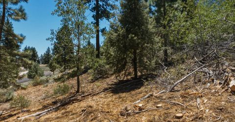 490 Nature's Edge Road, Gardnerville, NV 89460 Photo