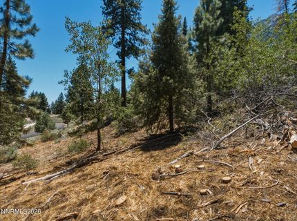 490 Nature's Edge Road, Gardnerville, NV 89460 Photo