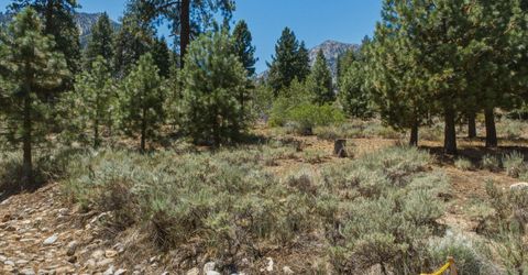 490 Nature's Edge Road, Gardnerville, NV 89460 Photo
