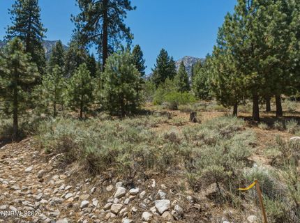 490 Nature's Edge Road, Gardnerville, NV 89460 Photo