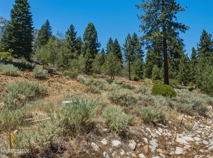 490 Nature's Edge Road, Gardnerville, NV 89460 Photo