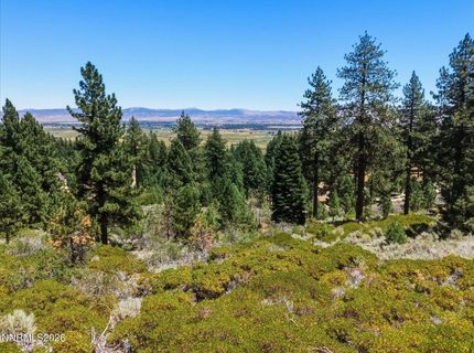 490 Nature's Edge Road, Gardnerville, NV 89460 Photo