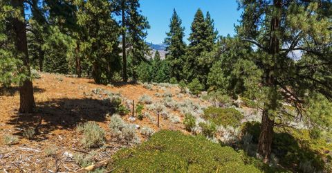 490 Nature's Edge Road, Gardnerville, NV 89460 Photo