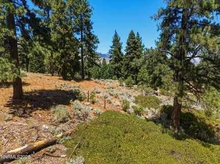 490 Nature's Edge Road, Gardnerville, NV 89460 Photo