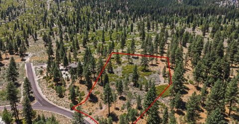490 Nature's Edge Road, Gardnerville, NV 89460 Photo