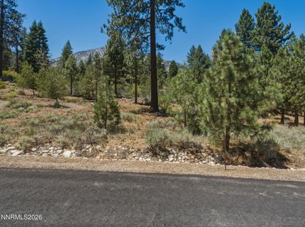 490 Nature's Edge Road, Gardnerville, NV 89460 Photo