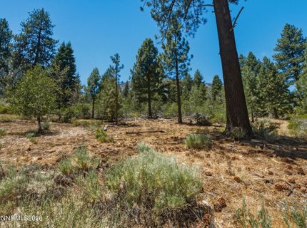 490 Nature's Edge Road, Gardnerville, NV 89460 Photo