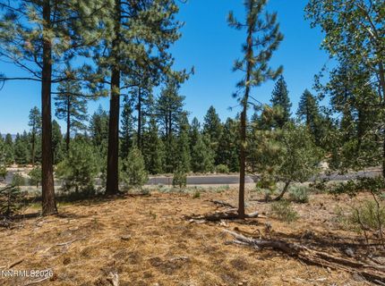 490 Nature's Edge Road, Gardnerville, NV 89460 Photo