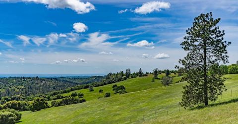 15111 Tyler Rd, Fiddletown, CA 95629 Photo