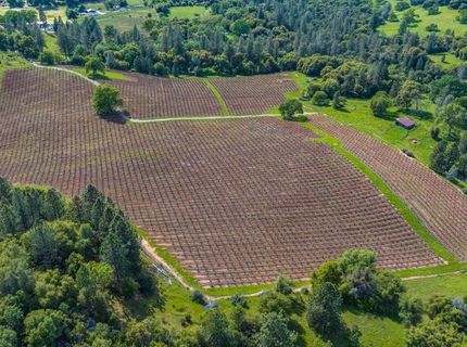 15111 Tyler Rd, Fiddletown, CA 95629 Photo