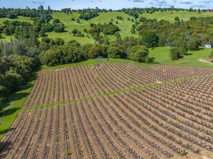 15111 Tyler Rd, Fiddletown, CA 95629 Photo
