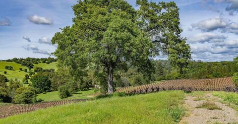 15111 Tyler Rd, Fiddletown, CA 95629 Photo