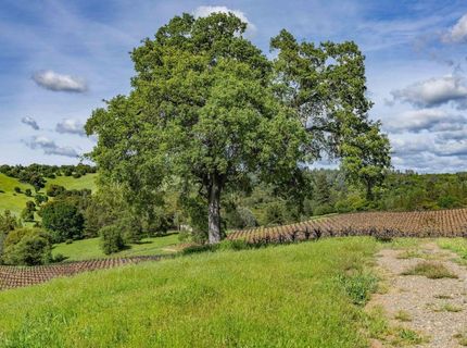 15111 Tyler Rd, Fiddletown, CA 95629 Photo