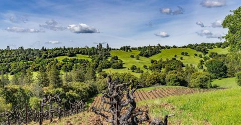 15111 Tyler Rd, Fiddletown, CA 95629 Photo