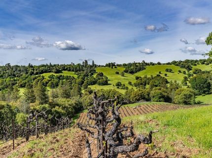 15111 Tyler Rd, Fiddletown, CA 95629 Photo