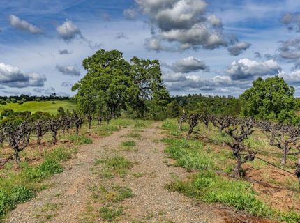15111 Tyler Rd, Fiddletown, CA 95629 Photo