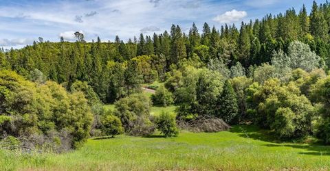 15111 Tyler Rd, Fiddletown, CA 95629 Photo