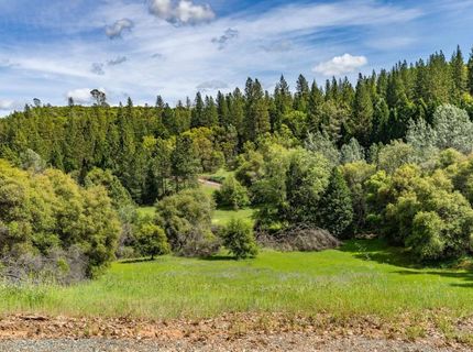 15111 Tyler Rd, Fiddletown, CA 95629 Photo