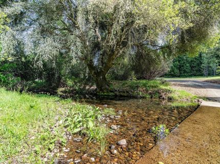 15111 Tyler Rd, Fiddletown, CA 95629 Photo