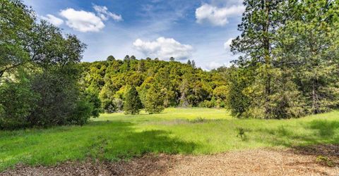 15111 Tyler Rd, Fiddletown, CA 95629 Photo