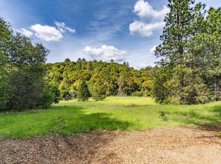 15111 Tyler Rd, Fiddletown, CA 95629 Photo