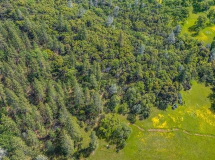 15111 Tyler Rd, Fiddletown, CA 95629 Photo