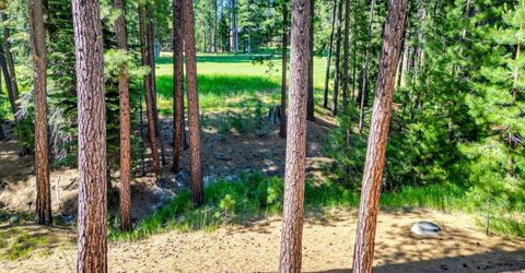 243 Black Bear Trl, Clio, CA 95746 Photo