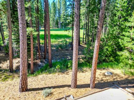 243 Black Bear Trl, Clio, CA 95746 Photo