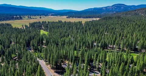 243 Black Bear Trl, Clio, CA 95746 Photo