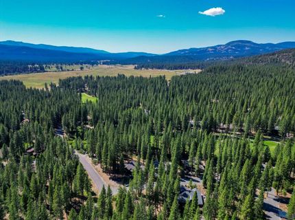 243 Black Bear Trl, Clio, CA 95746 Photo